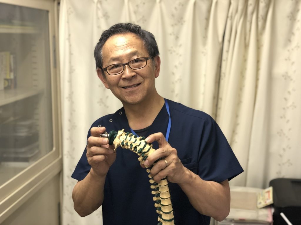 心臓　模型　中村　nakamura 学校備品　理科　病院　接骨院　整体　カイロ 心臓 模型 中村 nakamura 学校備品 理科 病院 接骨院 整体 カイロ 2025